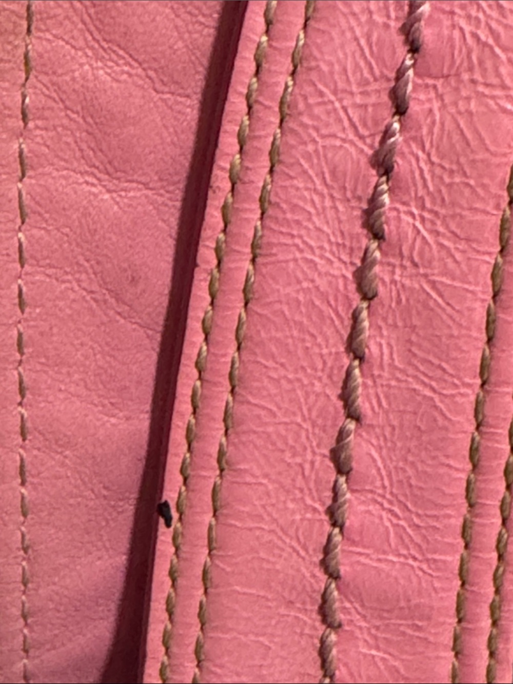 Coach Y2K Barbie Pink Signature Canvas Tote with Leather Trim (F15047) - Picture 6 of 16